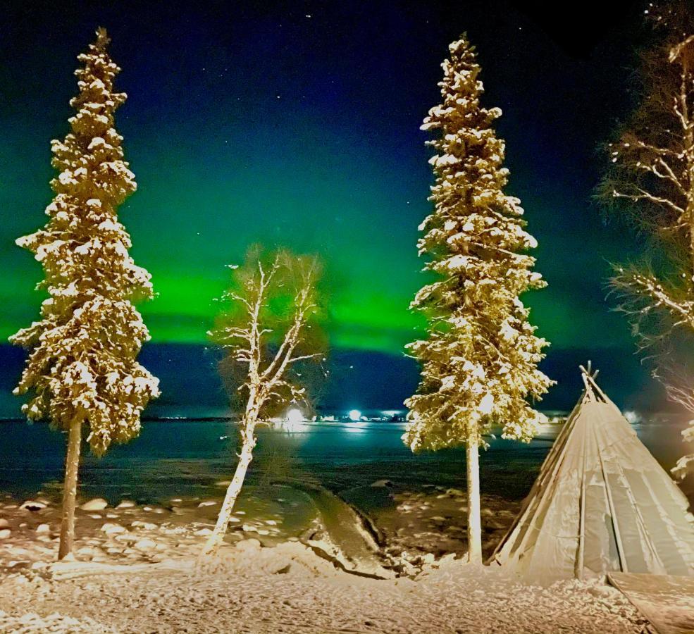 Northern Light Camp Kiruna Extérieur photo
